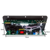 D30-II Mono 25W untuk Papan Amplifier 5.0 dengan Kontrol Jarak Jauh Dual MIC untuk Aplikasi Mobil DC12V/24V