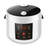 Mini cuiseur à riz numérique multifonction 1,0 L, pour riz, bouillie, soupe, nouilles, gâteaux, double revêtement antiadhésif, 350W