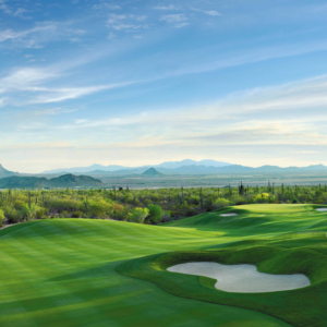 Đặt màu xanh lá cây Mat cỏ Thảm cỏ nhân tạo Thể Thao Golf Turf - Product Image 1