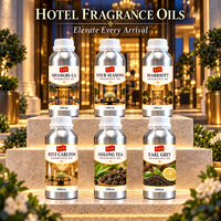 Huile parfumée pour hôtel, faible viscosité, sans colmatage, huile pour diffuseur d'arômes sans eau, sans huile de support, parfumage commercial