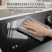 Cuisinière hybride gaz-électrique encastrable à double brûleur, surface en verre, allumage électronique, protection contre l'extinction de la flamme, classe A, usage domestique
