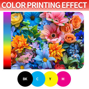 Cartucho de Tóner de Color Compatible 202A CF500A Bk/<span class=keywords><strong>CF501A</strong></span> C/CF502A Y/CF503A M para HP Color Laserjet PRO M254/Mfp M280/Mfp M281 - Product Image 4