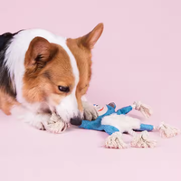Jouet à mâcher durable pour chiens de taille moyenne, renard écureuil en peluche qui couine, avec rembourrage gratuit en daim résistant