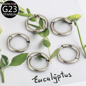 Pendientes Circulares de <span class=keywords><strong>Titanio</strong></span> ASTM F136 para Piercing de Oreja (Helix, Rook, <span class=keywords><strong>Daith</strong></span>, Lóbulo) y Anillo para Septum Nasal, Estilo Europeo y Americano, Nueva Tendencia - Product Image 5