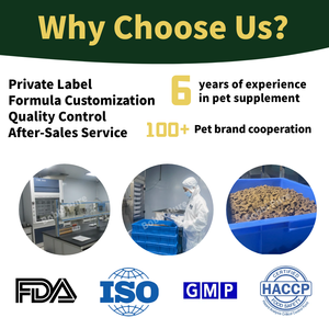 Groothandel Oem/Odm Pet Supplement Voedingssupplementen Anti-Allergie Lecithine Zacht Kauwt Voor Jeukende Huid Jas Tonijn Bacon Gearomatiseerd - Product Image 4