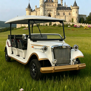 Voitures électriques vintage classiques pour le tourisme - Marque ZOWN - Neuves - 2 passagers - Garantie de 2 ans - Qualité exceptionnelle - Designs intemporels - Product Image 1