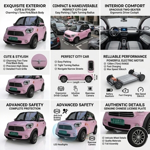 Vehículo Eléctrico con Confort y Comodidad, Motor de 7.5kW, Batería de Litio, Alta Velocidad - Product Image 2