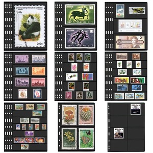 Pagine per album di <span class=keywords><strong>francobolli</strong></span> a 9 fori, per collezionismo di <span class=keywords><strong>francobolli</strong></span> e banconote, in PVC a fogli mobili, 12 modelli - Product Image 5