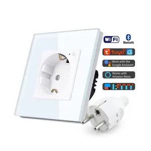 OEM ODM 3 Years Warranty Smart Home Socket German EU Socket TUYA Smart Life Power Monitoring