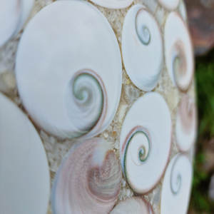 Nouveautés très vendues, coquillages fossiles sculptés, cristaux de guérison, pierres rondes, coquille fossile en forme de plaque à vendre - Product Image 6