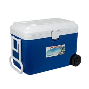 クーラーボックス50L屋外バーベキュー釣り用プラスチック断熱食品クーラーボックス旅行アイスボックス