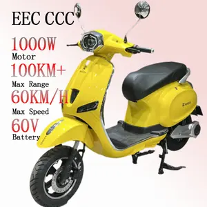 Fournisseur nouveau style de moto électrique légère haute qualité 1000w Ckd cyclomoteur électrique scooter avec pédale 2 roues moto rapide