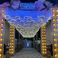 Voilages ondulés blancs, éclairage LED, drapé suspendu, bande lumineuse de plafond scintillante avec rideau pour la décoration de plafond de mariage