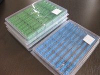 Connecteur de faisceau de câbles PCB