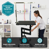 Table de toilettage pour animaux de compagnie hydraulique électrique professionnelle avec hauteur réglable et surface antidérapante pour chiens et chats