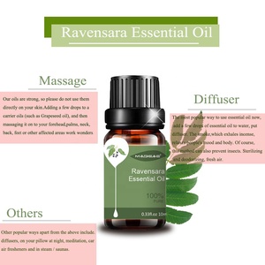 10ML Venta caliente Ravensara <span class=keywords><strong>Aromatica</strong></span>. (Ravensara) Leaf Oil CAS 91770-56-8 Precio a granel de etiqueta privada para el cuidado de la piel y el cabello - Product Image 3