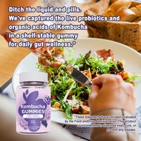 Gummies probiotiques, gummies au kombucha, soutien métabolique pour hommes et femmes, végétaliens, saveur raisin, service OEM ODM