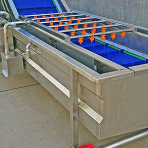 Lavadora de Burbujas para Hojas, Cebolla, Brócoli, Aguacate - Product Image 4