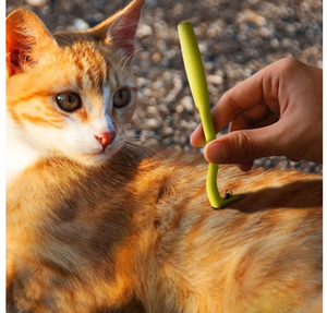 OEM/ODM Outil de retrait des tiques pour animaux de compagnie, crochet rotatif avec 3 tailles de crochets, extraction sûre des tiques et des <span class=keywords><strong>puces</strong></span> pour <span class=keywords><strong>chiens</strong></span>, chats et toilettage domestique - Product Image 4
