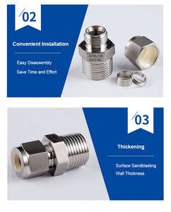 Connecteur à filetage mâle SS316L 6mm à 1 pouce-Norme <span class=keywords><strong>ISO</strong></span>/BSPP/NPT - Product Image 3