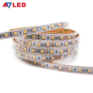 UL Được Liệt Kê Dc12v 14.4W Trong Nhà Ngoài Trời 151 Điện Trở Smd 5050 60P Dải Led Linh Hoạt