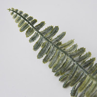 Hongo de Plástico Verde Escarchado de Tallo Único, Nephrolepis Exaltata, Cola de Fénix, Helecho de Boston, Pteris Vittata, Dicranopteris Pedata, Decoración Navideña para el Hogar