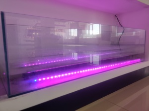 Đèn Rửa Tường Ngoài Trời Đèn Rửa Tường Tuyến Tính LED DMX RGB Tăng Cao IP65 Cho Chiếu Sáng Kiến Trúc Tòa Nhà - Product Image 6