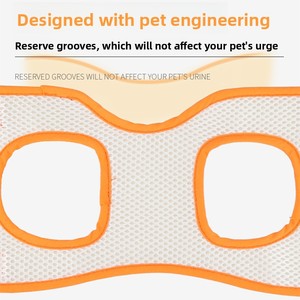 Sabuk Penyangga Kaki Belakang Hewan Peliharaan, <span class=keywords><strong>Harnesses</strong></span> untuk Anjing Penyandang Disabilitas, Sabuk Rehabilitasi untuk Hewan Peliharaan yang Cedera - Product Image 5