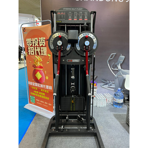 Fitnessapparatuur Home Gym Gebruik Geselecteerde Arm Rij Schouder Oefening Staande Multi-Flight/Laterale Raise Machine - Product Image 2