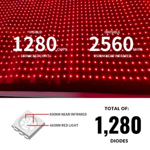 AZURE Relajación muscular Tamaño grande 160cm 180cm Terapia de cuerpo completo Cama Mat Dual Chip 660 850nm Colchón de terapia de luz roja infrarroja - Product Image 5