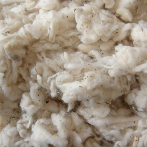 100% lickerin A and b/ Card Fly/FLAT Strip ฝ้ายสิ่งทอ Ms. Claire ผลิตภัณฑ์ที่มีคุณภาพสูง - Product Image 1