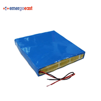 Batterie au lithium-ion LiFePO4 LFP 24V 30Ah pour système solaire, éclairage extérieur, caméra de sécurité, outils électriques