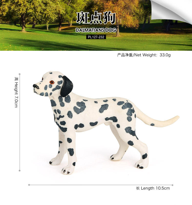 232Dalmatians Dog