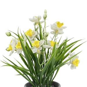 Fiori di narciso realistici per composizioni decorative moderne primaverili - Product Image 6