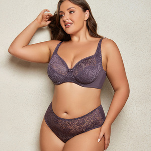 Ensemble de lingerie sexy grande taille en dentelle pour femme, soutien-gorge et culotte, vente en gros personnalisée pour dropshipping 2026 - Product Image 3