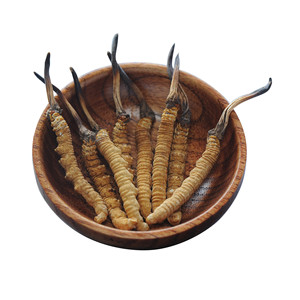Jamur Kering Berkualitas Tinggi <span class=keywords><strong>Cordyceps</strong></span> Sinensis Liar - Product Image 1