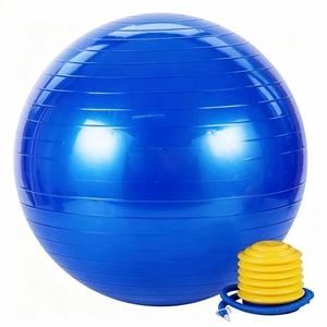 Ballon de grossesse Core <span class=keywords><strong>Balance</strong></span> 65 cm avec pompe, anti-éclatement, antidérapant, pour l'accouchement et les exercices prénatals, violet - Product Image 2