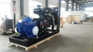 Factory Sales 12 Inch 14 Inch High Flow And High Efficiency Double Suction Fixed Or Mobile Diesel Engine Centrifugal Water Pump