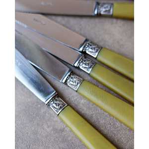 Juego de 6 cuchillos de mesa con mango de resina Flaviamastro - Product Image 2