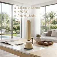 Diffuseur d'huiles essentielles professionnel de luxe en aluminium pour la maison, l'hôtel, la parfumerie, l'aromathérapie, diffuseur électrique rechargeable, nébuliseur d'air