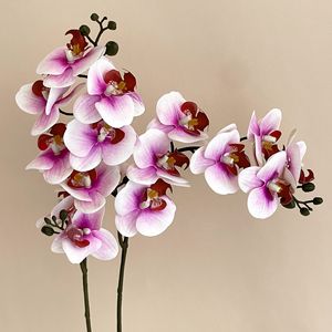 Orchidée Phalaenopsis Artificielle en Latex à 8 Têtes, Toutes Couleurs Personnalisables, Effet Naturel - Product Image 5