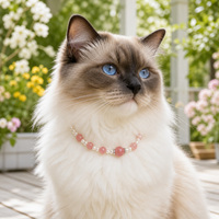 Collier élégant et simple pour chats et chiens, en cuir, avec plusieurs combinaisons de cristaux naturels, quartz fraise, cristal blanc et perles.