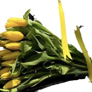 Ngày Valentine lưới màu đỏ trong suốt hoa túi xách qixi Hoa bó Hoa Quà Tặng bao bì vật nuôi cầm tay - Product Image 5