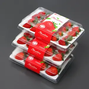 农场使用环保透明宠物塑料泡罩水果草莓包装盒，带农场泡沫托盘
