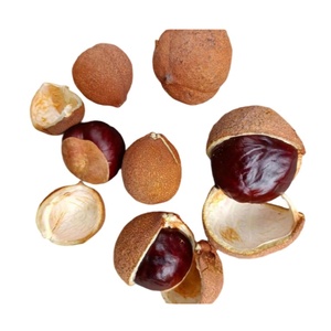 QY Herb Vende Polvere di Ippocastano di Alta Qualità - Product Image 2