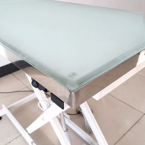 <span class=keywords><strong>Mesa</strong></span> DE ASEO Veterinaria con luz LED eléctrica para mascotas, <span class=keywords><strong>mesa</strong></span> de peluquería para perros, características de limpieza para herramientas de aseo para mascotas - Product Image 5