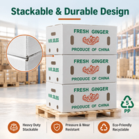 Boîte à gingembre pliable en PP ondulé, étanche, réutilisable, ventilée, lavable, empilable, écologique, recyclable, en plastique, pour produits frais