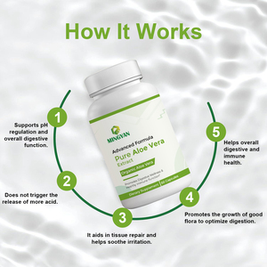 Cápsulas de Extracto de Aloe Vera Orgánico de Fórmula Avanzada Premium OEM/ODM para el Bienestar Digestivo de Adultos, Apoyo Inmunológico Diario, Sin GMO - Product Image 2