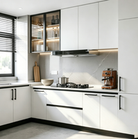 Meubles de cuisine modulaires de luxe italiens populaires aux États-Unis avec éclairage LED intégré, unité de cuisine complète pour condo