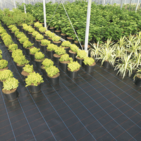Tissu de contrôle des adventices noir en PP, très vendu, tapis de protection agricole contre les mauvaises herbes, rouleau de couverture de sol tricoté